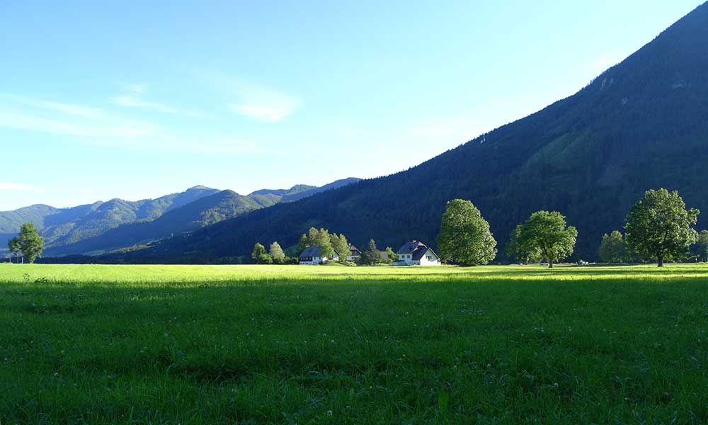 Buchbergkogel